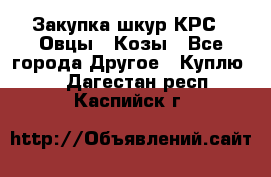 Закупка шкур КРС , Овцы , Козы - Все города Другое » Куплю   . Дагестан респ.,Каспийск г.